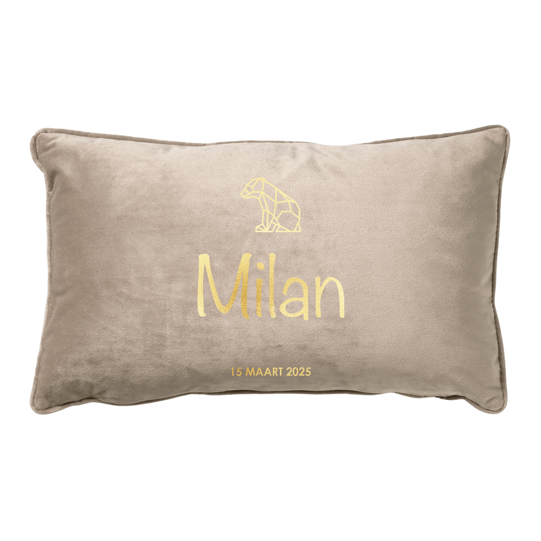 Naam met icoon kussen Taupe - Cravity